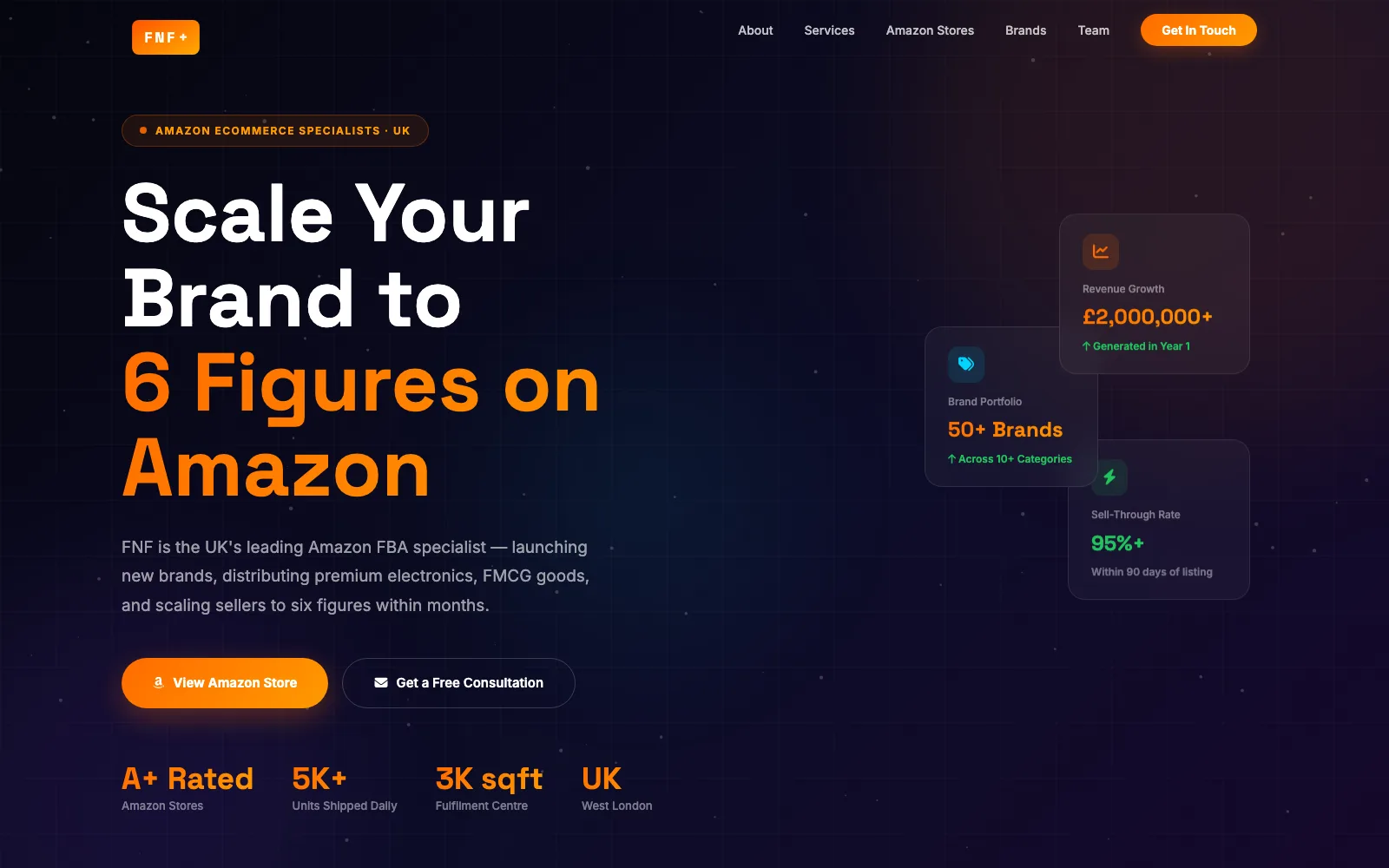 FNF+ website screenshot